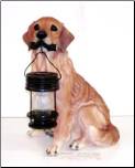 Golden Lab Dog Carrying Solar Lantern (B5190A)